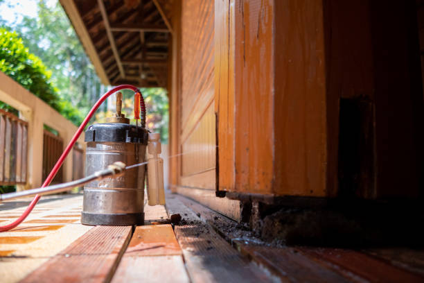 Best Ant Control Services  in Sutherland, NE
