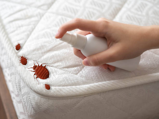 Best Local Pest Control Services  in Sutherland, NE