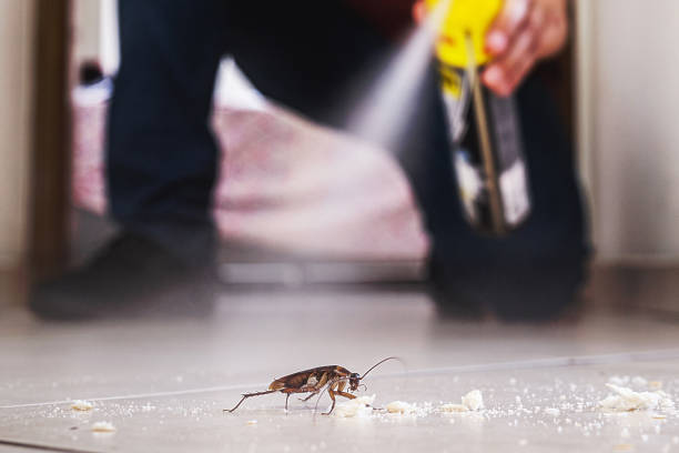 Best Commercial Pest Control Services  in Sutherland, NE