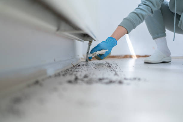Best Mosquito Control Services  in Sutherland, NE